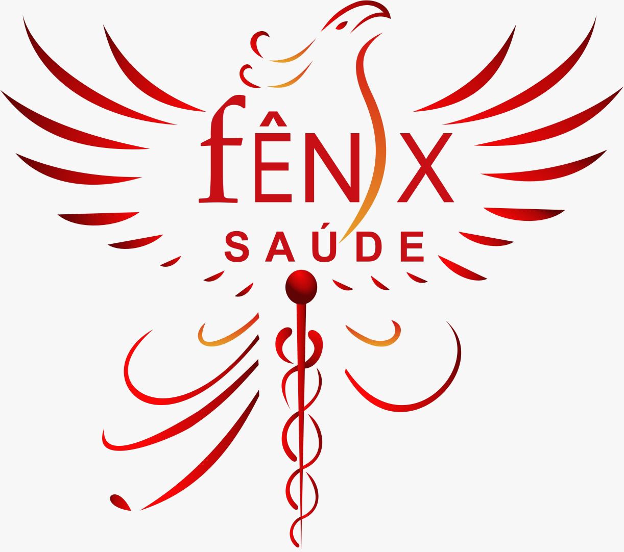 COOPERATIVA DE TRABALHO NA GESTAO DA SAUDE- FENIX SAUDE